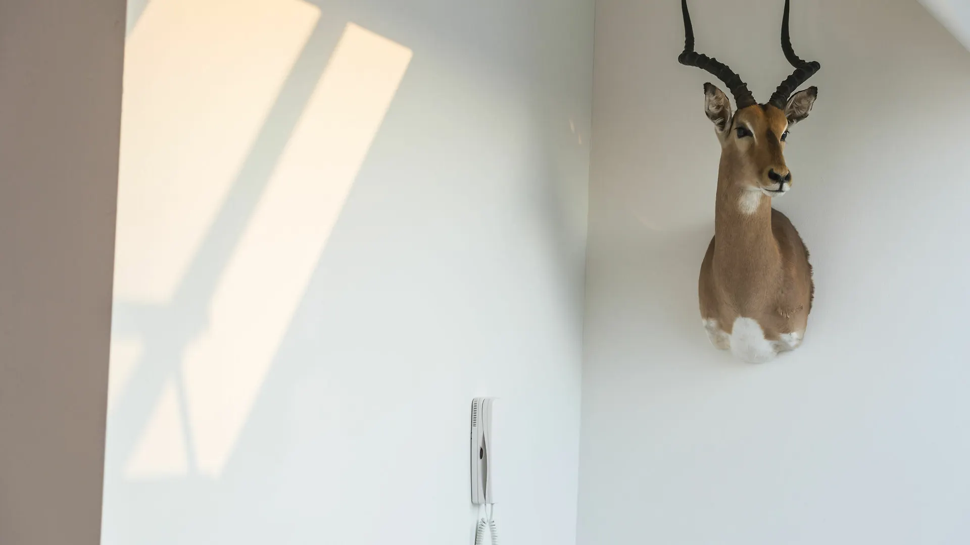 Penthouse Stephansplatz By Welcome2Vienna Apartment Vienna